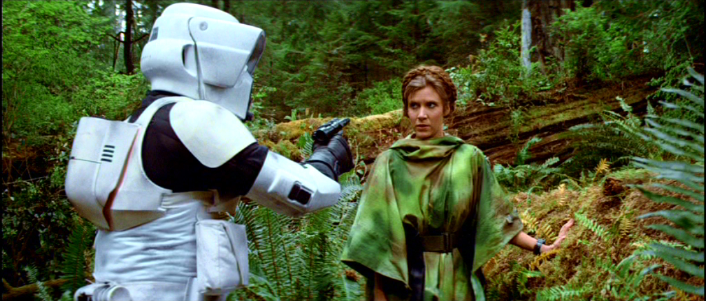 princess leia endor dress